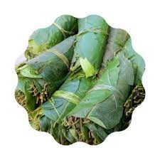 saalko paat-सालको पात